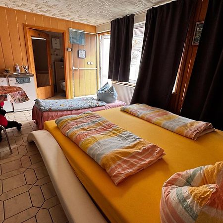 Cozy Unterkunft Im Spreewald Nahe Tropical Islands Golßen Екстериор снимка